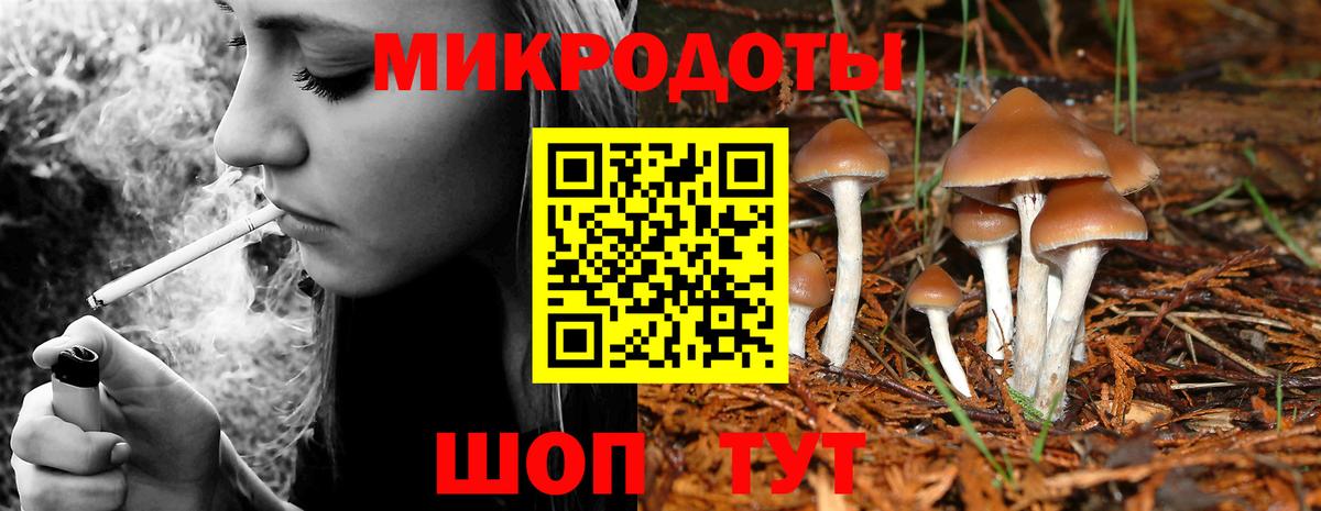 Псилоцибиновые грибы прущие грибы Дубна